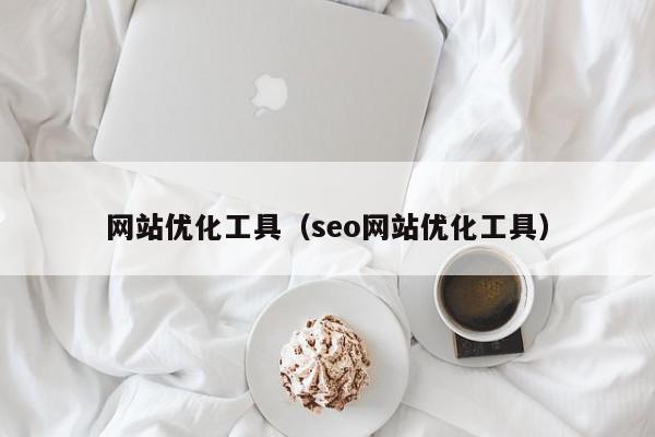 网站优化工具（seo网站优化工具）