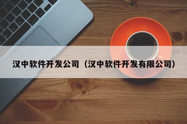 汉中软件开发公司（汉中软件开发有限公司）