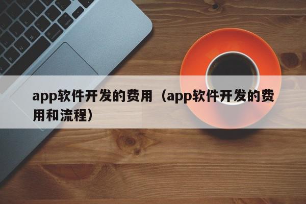 app软件开发的费用（app软件开发的费用和流程）