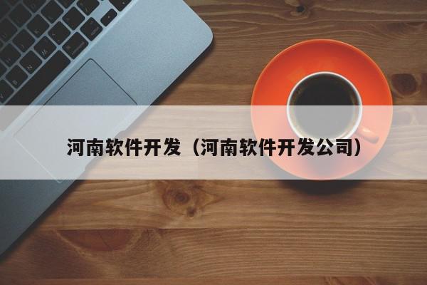 河南软件开发（河南软件开发公司）