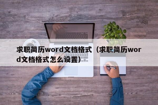 求职简历word文档格式（求职简历word文档格式怎么设置）