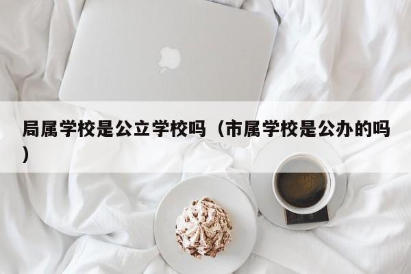 局属学校是公立学校吗（市属学校是公办的吗）