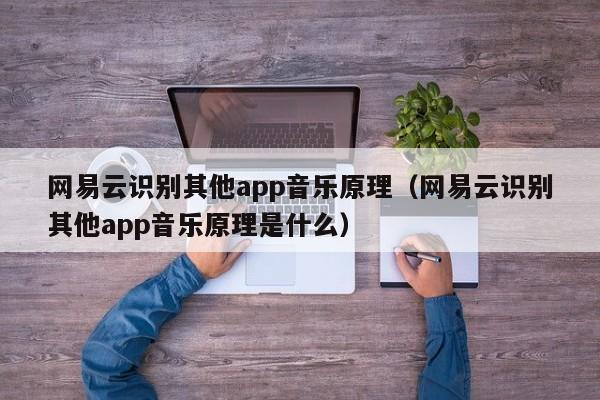 网易云识别其他app音乐原理（网易云识别其他app音乐原理是什么）