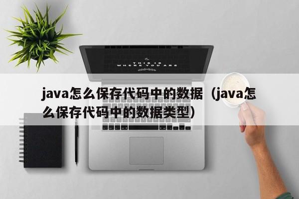 java怎么保存代码中的数据（java怎么保存代码中的数据类型）