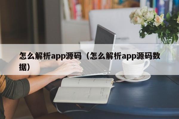 怎么解析app源码（怎么解析app源码数据）