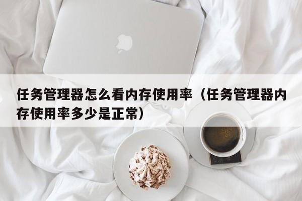 任务管理器怎么看内存使用率（任务管理器内存使用率多少是正常）