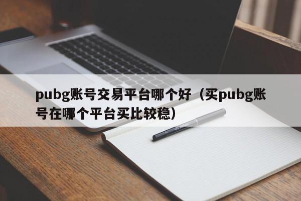 pubg账号交易平台哪个好（买pubg账号在哪个平台买比较稳）