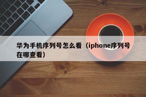 华为手机序列号怎么看（iphone序列号在哪查看）