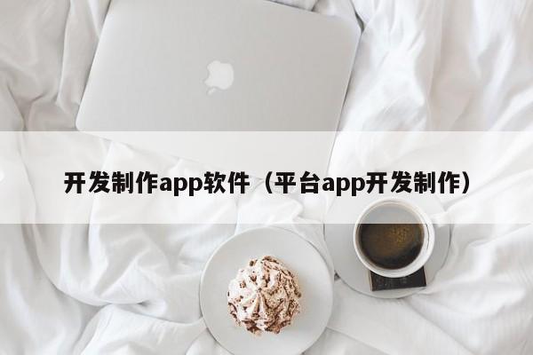 开发制作app软件（平台app开发制作）