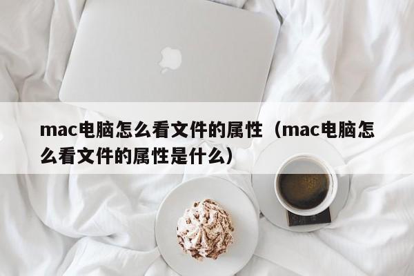 mac电脑怎么看文件的属性（mac电脑怎么看文件的属性是什么）