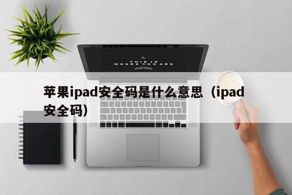 苹果ipad安全码是什么意思（ipad 安全码）