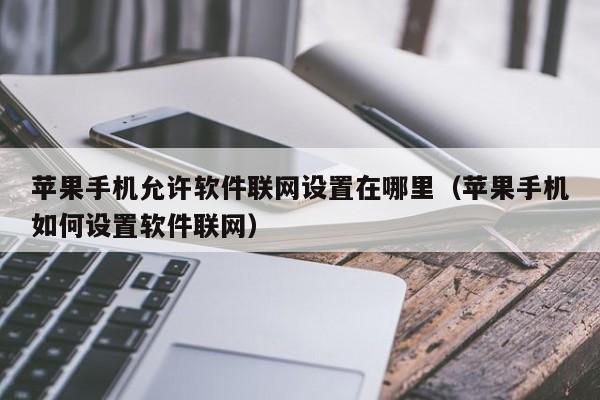 苹果手机允许软件联网设置在哪里（苹果手机如何设置软件联网）