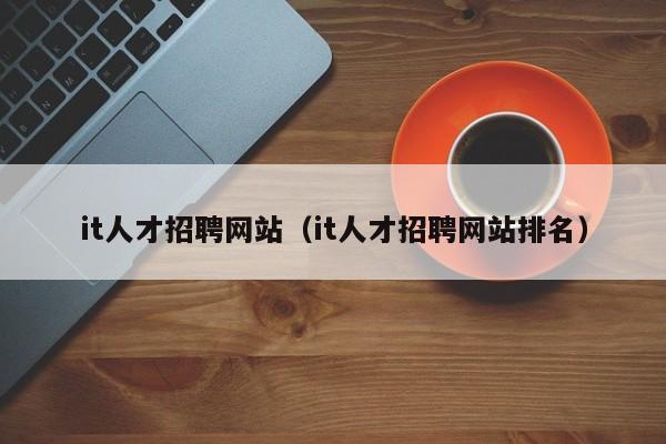 it人才招聘网站（it人才招聘网站排名）