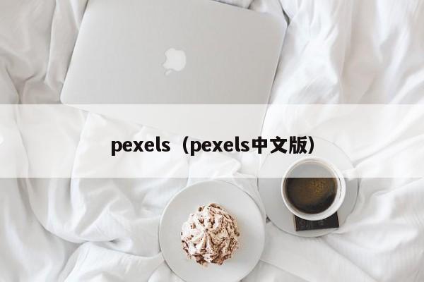 pexels（pexels中文版）