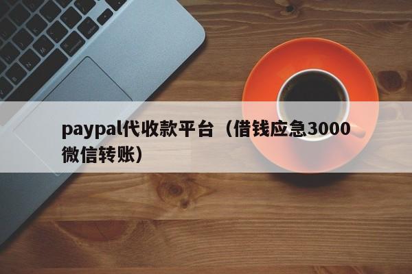 paypal代收款平台（借钱应急3000微信转账）