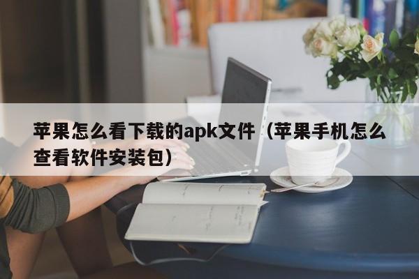 苹果怎么看下载的apk文件（苹果手机怎么查看软件安装包）