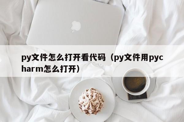 py文件怎么打开看代码（py文件用pycharm怎么打开）