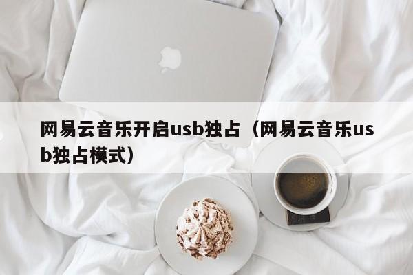 网易云音乐开启usb独占（网易云音乐usb独占模式）