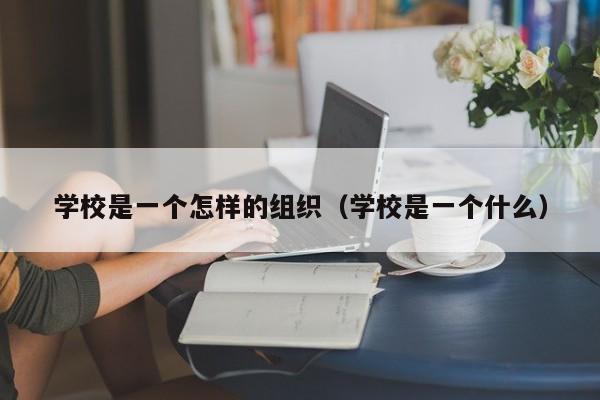 学校是一个怎样的组织（学校是一个什么）