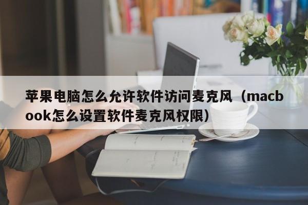 苹果电脑怎么允许软件访问麦克风（macbook怎么设置软件麦克风权限）