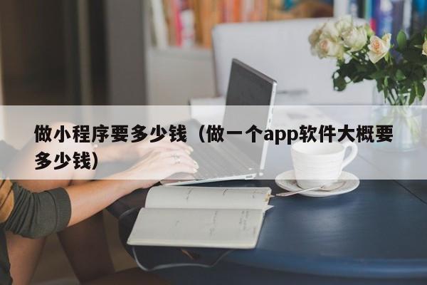 做小程序要多少钱（做一个app软件大概要多少钱）