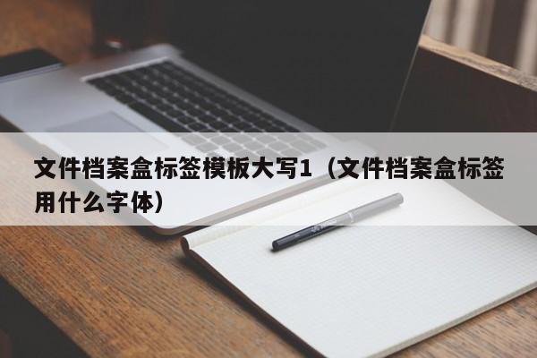 文件档案盒标签模板大写1（文件档案盒标签用什么字体）