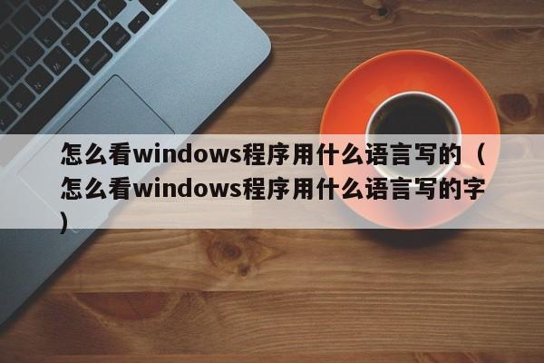 怎么看windows程序用什么语言写的（怎么看windows程序用什么语言写的字）