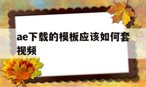 关于ae下载的模板应该如何套视频的信息