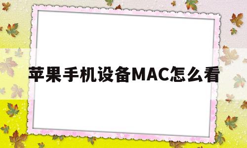 苹果手机设备MAC怎么看(iphone怎么查看手机mac)