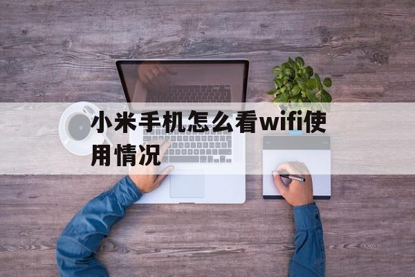 小米手机怎么看wifi使用情况(小米手机怎么看wifi使用情况查询)