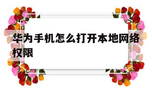 华为手机怎么打开本地网络权限(华为手机怎么打开本地网络访问权限)