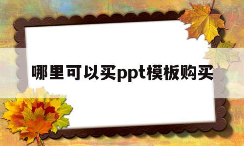 哪里可以买ppt模板购买(哪里可以买ppt模板购买软件)