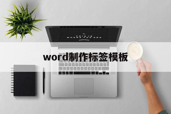 word制作标签模板(word制作标签模板图解)