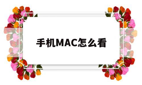 手机MAC怎么看(手机mac从哪里看)