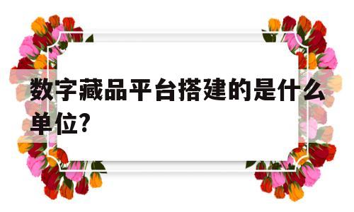 数字藏品平台搭建的是什么单位?的简单介绍