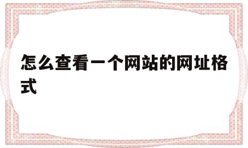 怎么查看一个网站的网址格式(怎么查看一个网站的网址格式和内容)