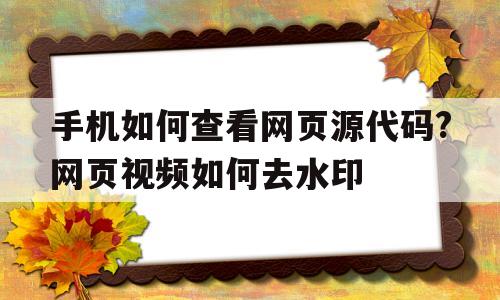 包含手机如何查看网页源代码?网页视频如何去水印的词条