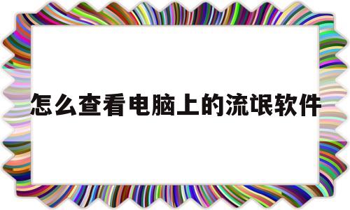 怎么查看电脑上的流氓软件(怎么查看电脑上的流氓软件文件)