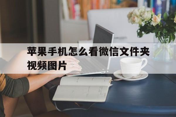 苹果手机怎么看微信文件夹视频图片(苹果手机怎么看微信文件夹视频图片和视频)