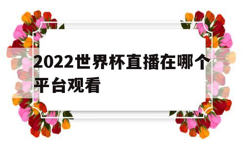 2022世界杯直播在哪个平台观看(2022世界杯直播在哪个平台观看呢)