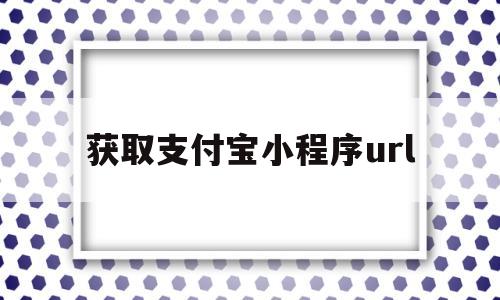 获取支付宝小程序url(获取支付宝小程序webview cookie)