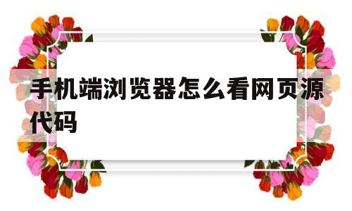 手机端浏览器怎么看网页源代码(如何用手机浏览器查看网页源代码)