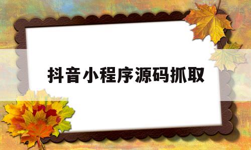 抖音小程序源码抓取(抖音小程序源码抓取是真的吗)