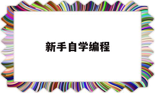 新手自学编程(新手自学编程先学什么)