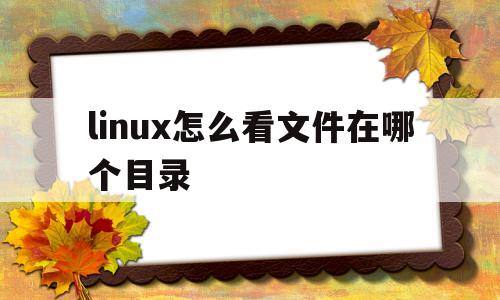 linux怎么看文件在哪个目录(linux怎么看文件在哪个目录里)