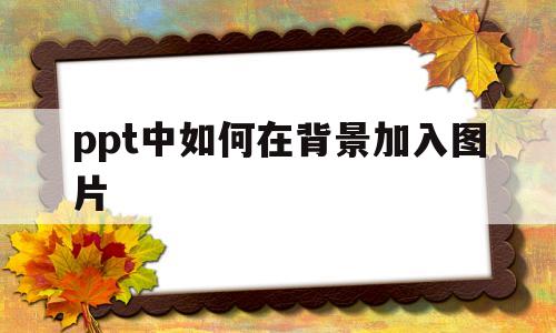 ppt中如何在背景加入图片(ppt怎样在背景图上再添加图片)