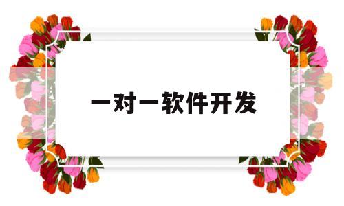 一对一软件开发(一对一软件开发培训,计算机编程培训,电脑编程培训)