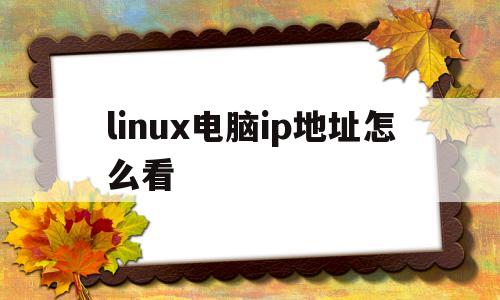 linux电脑ip地址怎么看(linux系统的ip地址怎么看)