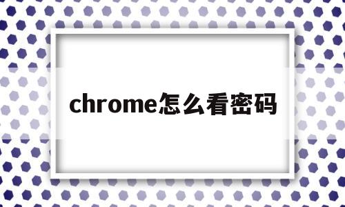 chrome怎么看密码(怎么看chrome保存的密码)