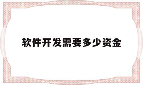 软件开发需要多少资金(软件开发需要多少资金才能开发)